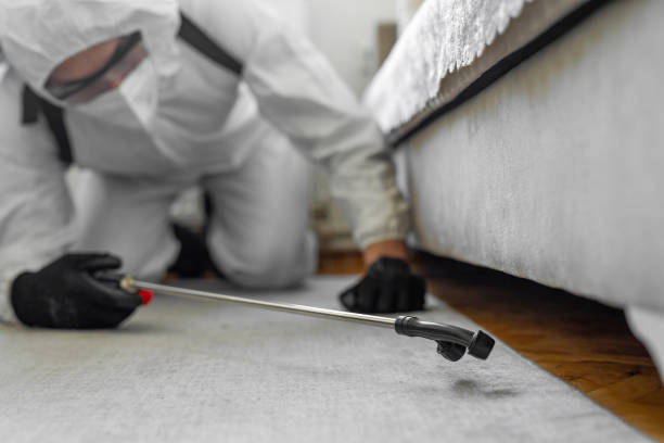 Professional Wasp Control technician working in East Highland Park, VA