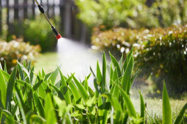 24/7 Emergency Cockroach Control experts in East Highland Park, VA