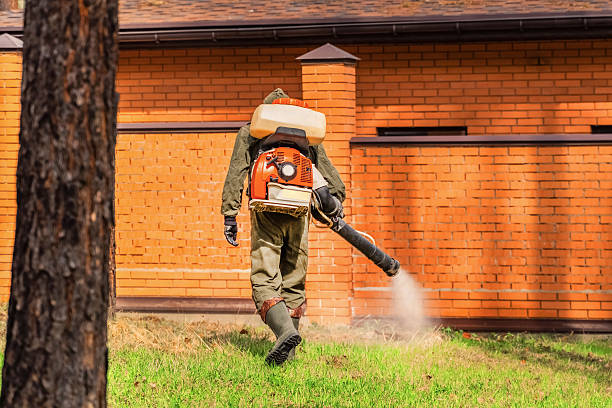 Trusted Cockroach Control service in East Highland Park, VA - Nex Pest Control
